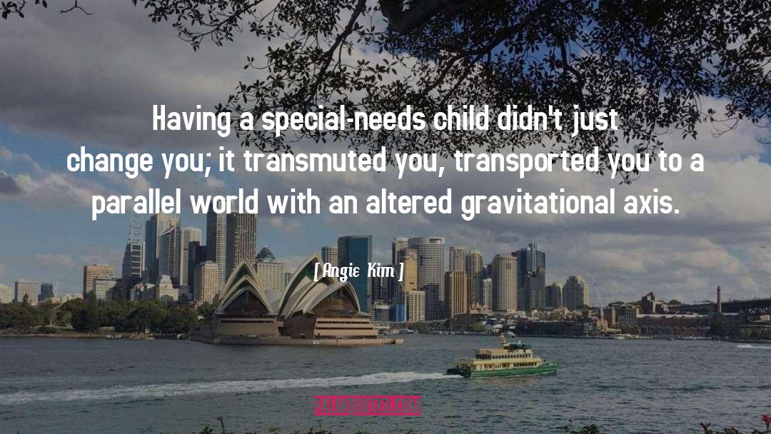 Angie Kim Quotes: Having a special-needs child didn't