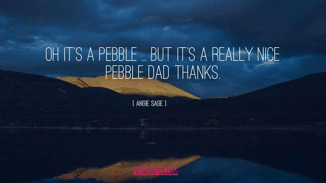 Angie Sage Quotes: Oh it's a pebble ...