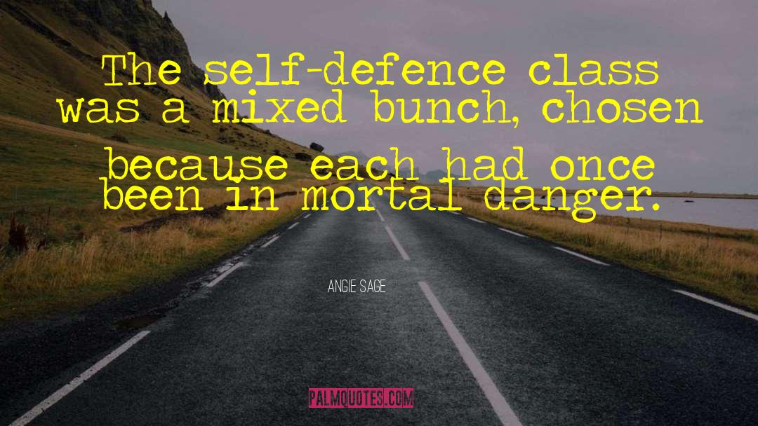 Angie Sage Quotes: The self-defence class was a