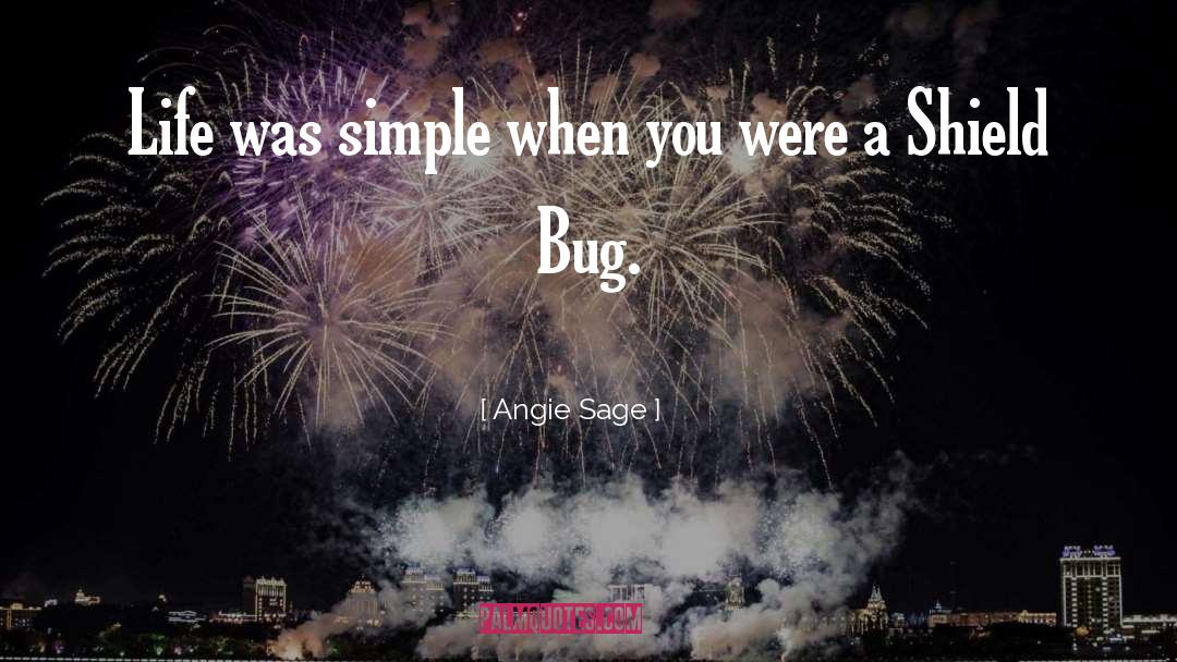 Angie Sage Quotes: Life was simple when you