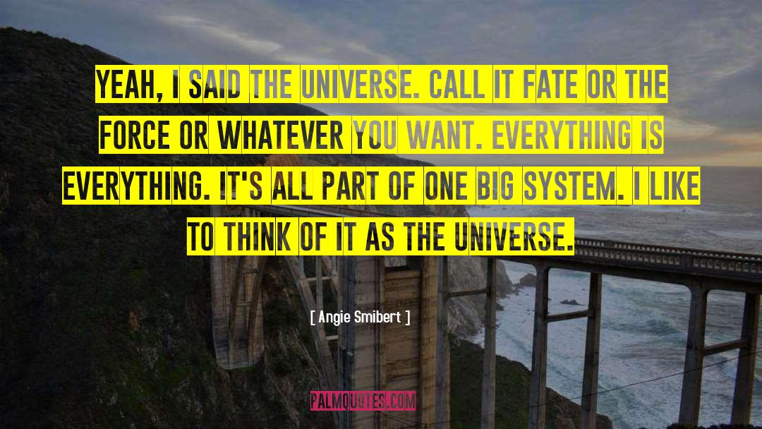 Angie Smibert Quotes: Yeah, I said the universe.