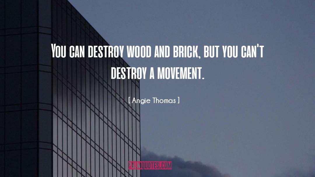 Angie Thomas Quotes: You can destroy wood and