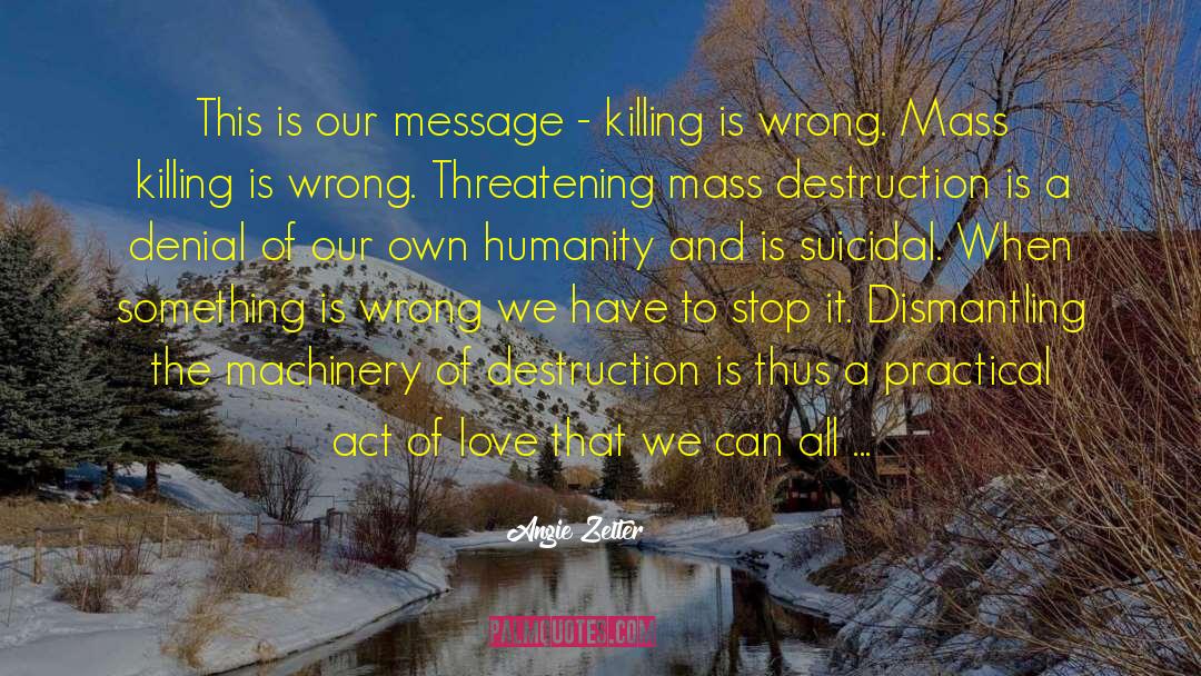 Angie Zelter Quotes: This is our message -