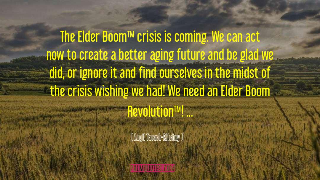 Angil Tarach-Ritchey Quotes: The Elder Boom™ crisis is