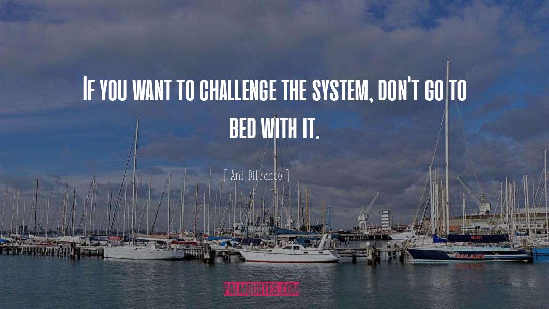 Ani DiFranco Quotes: If you want to challenge