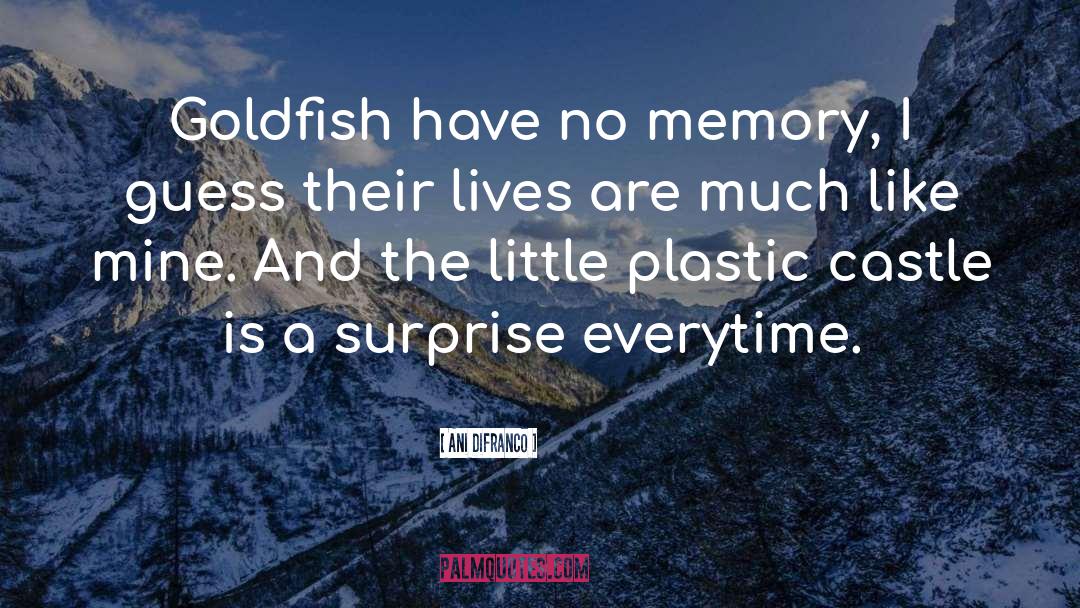 Ani DiFranco Quotes: Goldfish have no memory, I