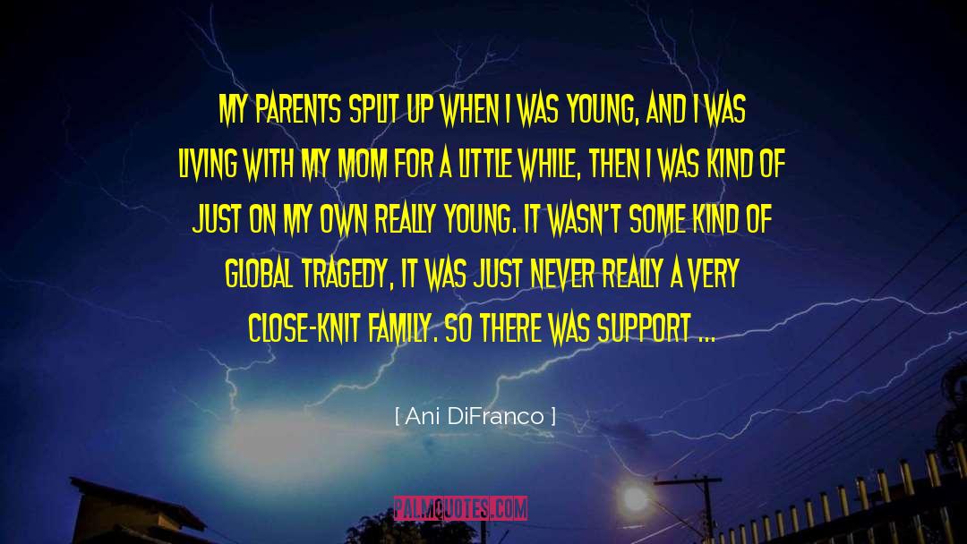 Ani DiFranco Quotes: My parents split up when