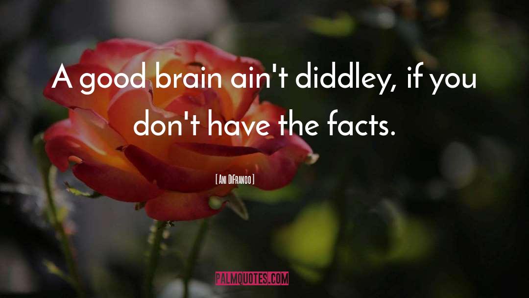 Ani DiFranco Quotes: A good brain ain't diddley,