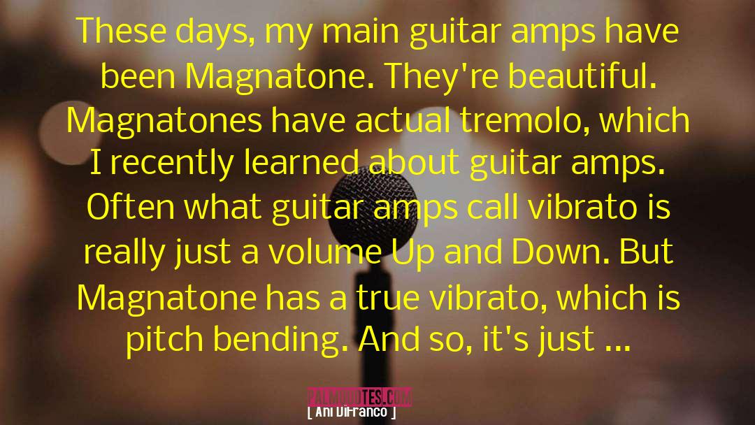 Ani DiFranco Quotes: These days, my main guitar