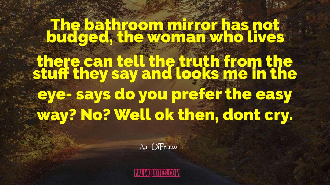 Ani DiFranco Quotes: The bathroom mirror has not