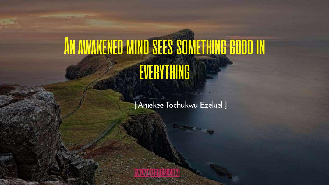 Aniekee Tochukwu Ezekiel Quotes: An awakened mind sees something