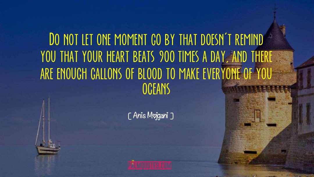 Anis Mojgani Quotes: Do not let one moment