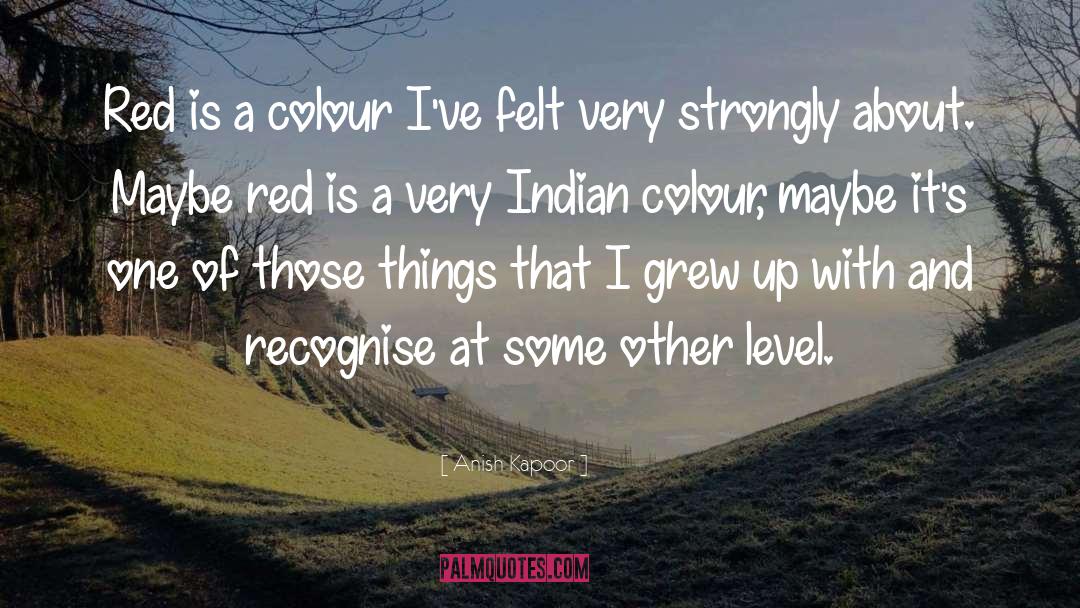 Anish Kapoor Quotes: Red is a colour I've