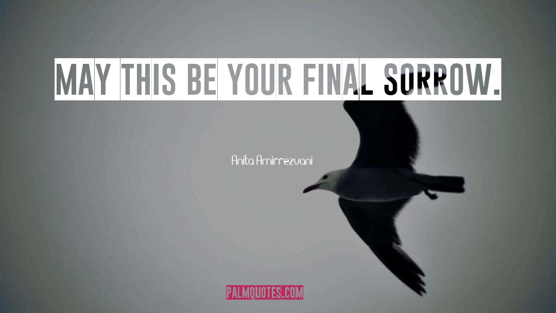 Anita Amirrezvani Quotes: May this be your final