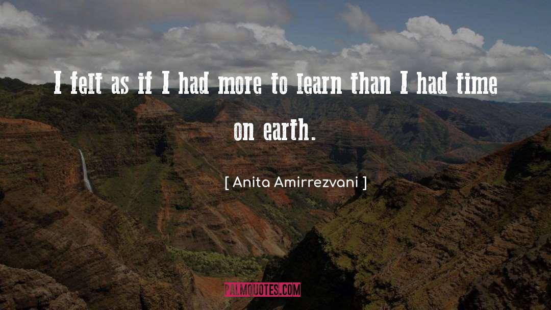 Anita Amirrezvani Quotes: I felt as if I