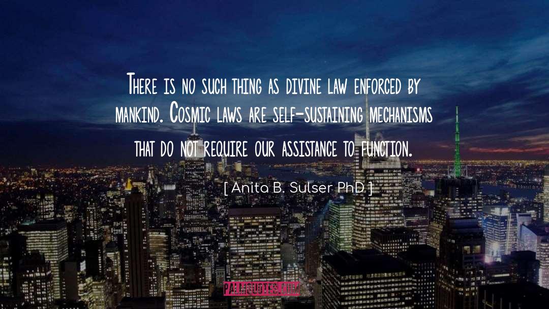 Anita B. Sulser PhD Quotes: There is no such thing