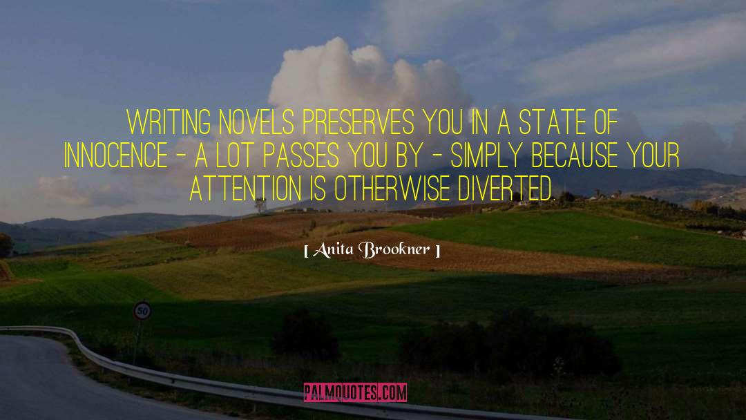 Anita Brookner Quotes: Writing novels preserves you in