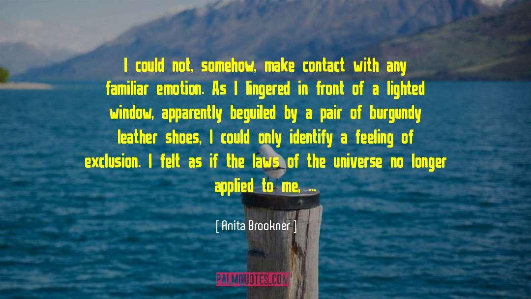 Anita Brookner Quotes: I could not, somehow, make