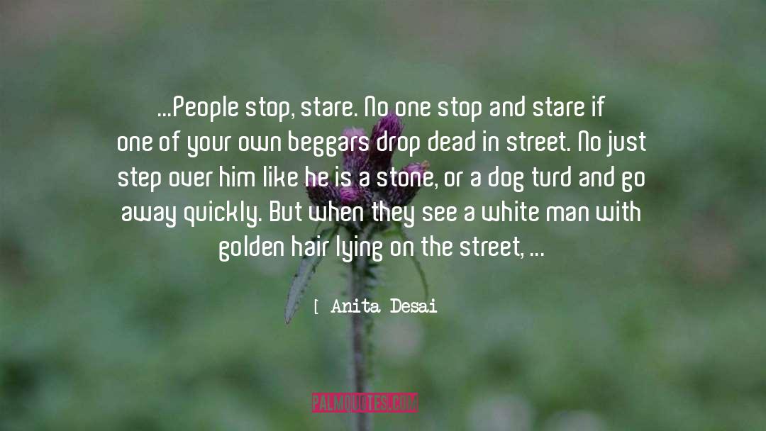 Anita Desai Quotes: ...People stop, stare. No one