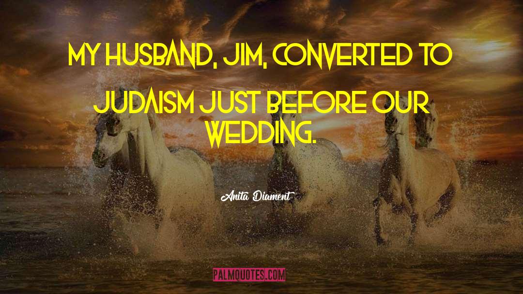 Anita Diament Quotes: My husband, Jim, converted to