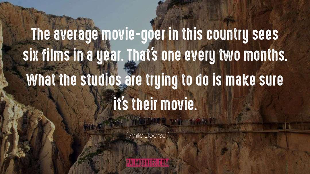Anita Elberse Quotes: The average movie-goer in this