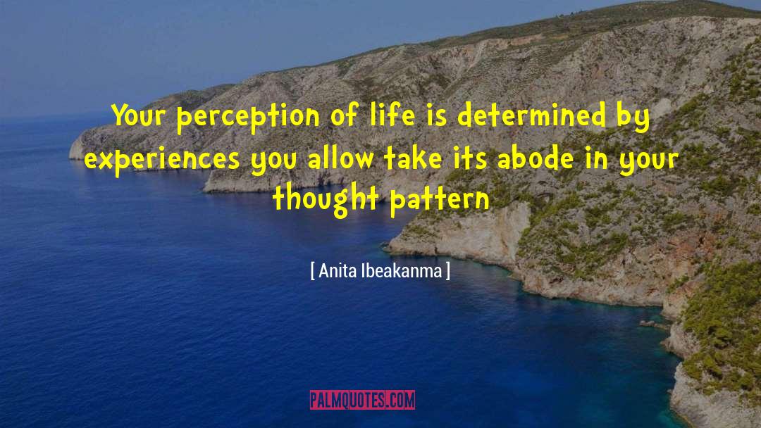 Anita Ibeakanma Quotes: Your perception of life is