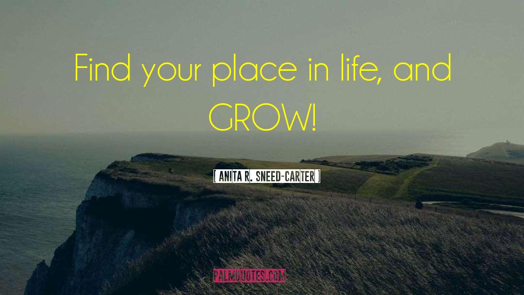 Anita R. Sneed-Carter Quotes: Find your place in life,