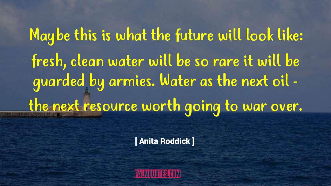 Anita Roddick Quotes: Maybe this is what the