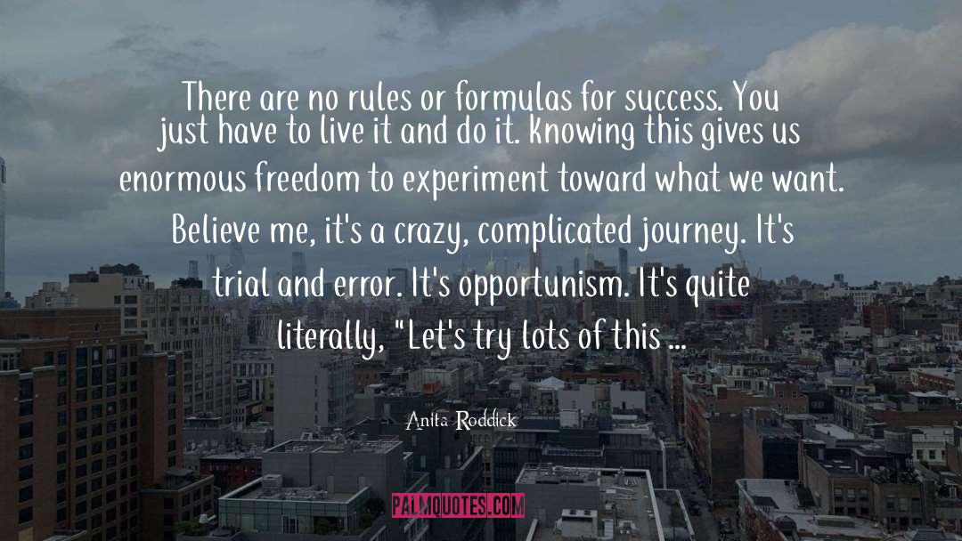 Anita Roddick Quotes: There are no rules or