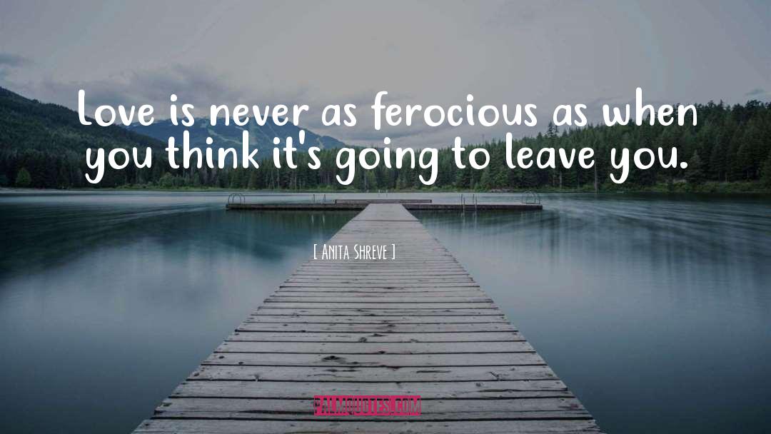 Anita Shreve Quotes: Love is never as ferocious