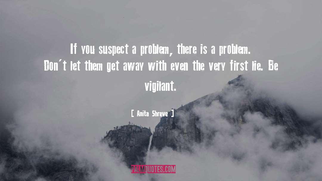 Anita Shreve Quotes: If you suspect a problem,