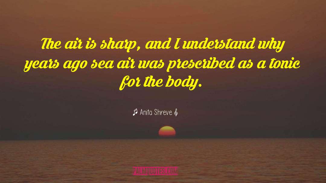 Anita Shreve Quotes: The air is sharp, and