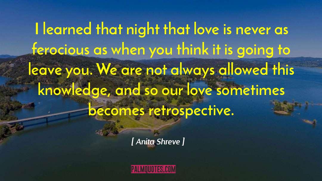 Anita Shreve Quotes: I learned that night that