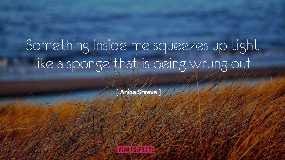 Anita Shreve Quotes: Something inside me squeezes up