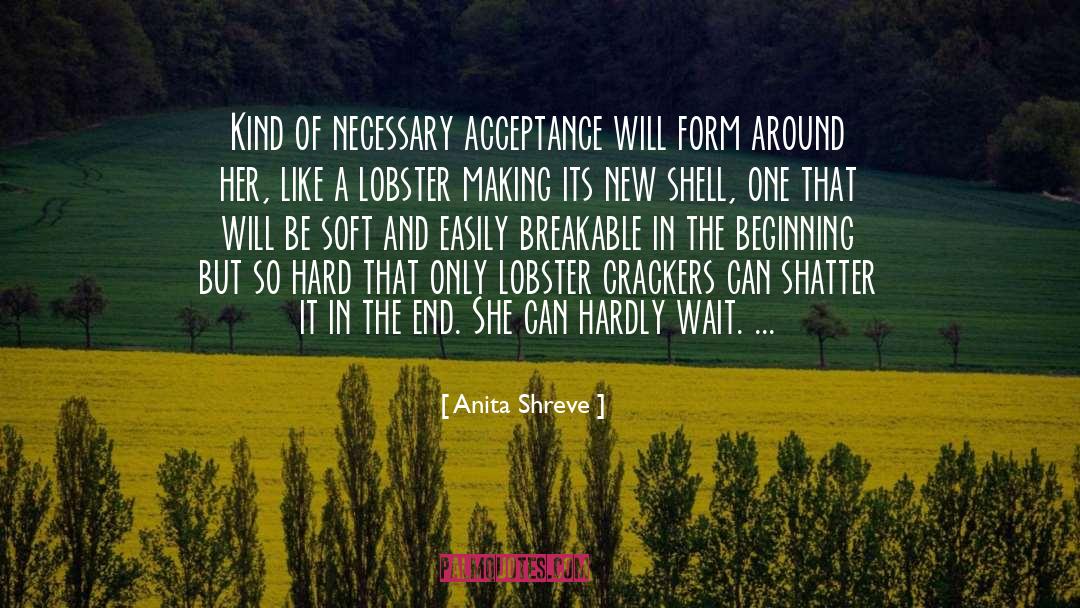 Anita Shreve Quotes: Kind of necessary acceptance will