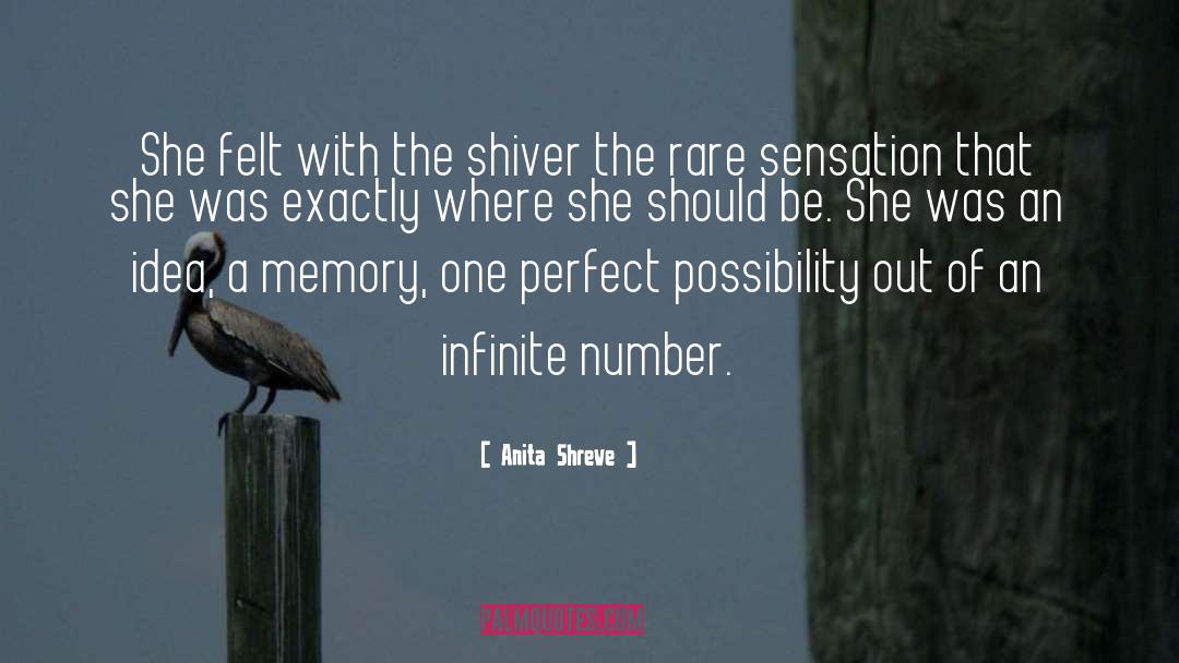 Anita Shreve Quotes: She felt with the shiver