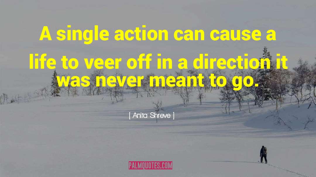 Anita Shreve Quotes: A single action can cause