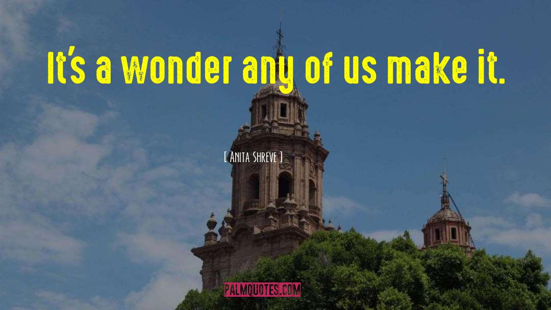 Anita Shreve Quotes: It's a wonder any of