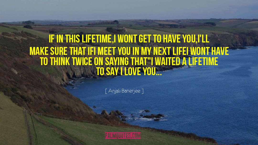 Anjali Banerjee Quotes: If in this lifetime,<br />I