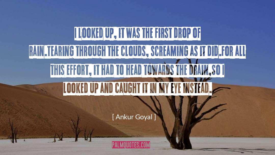 Ankur Goyal Quotes: I looked up, it was