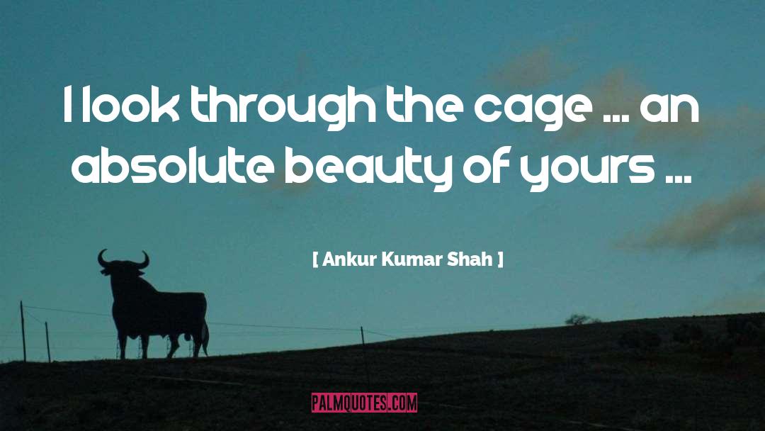 Ankur Kumar Shah Quotes: I look through the cage