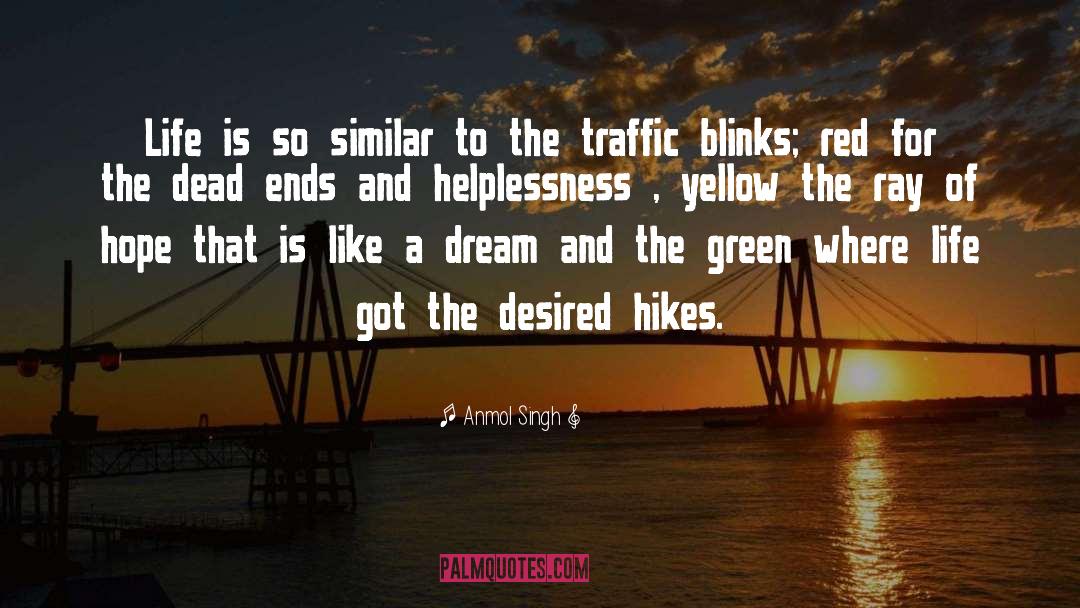 Anmol Singh Quotes: Life is so similar to