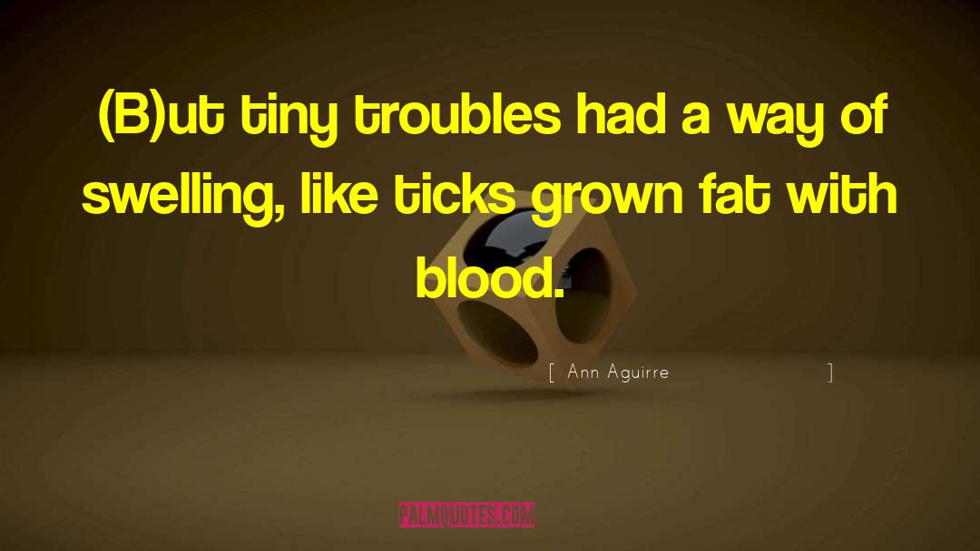 Ann Aguirre Quotes: (B)ut tiny troubles had a