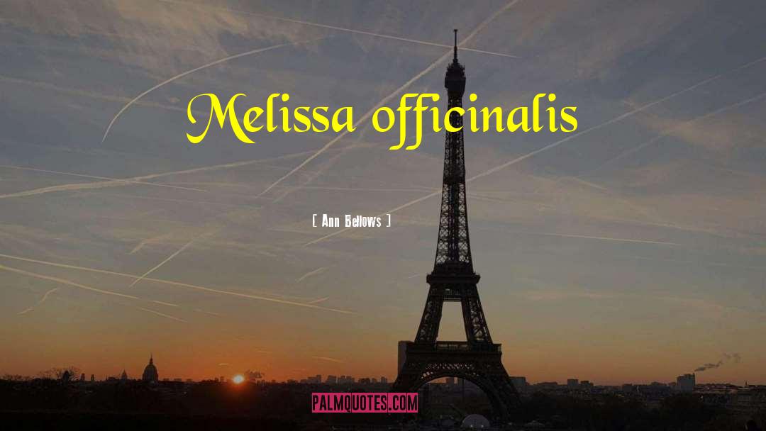 Ann Bellows Quotes: Melissa officinalis