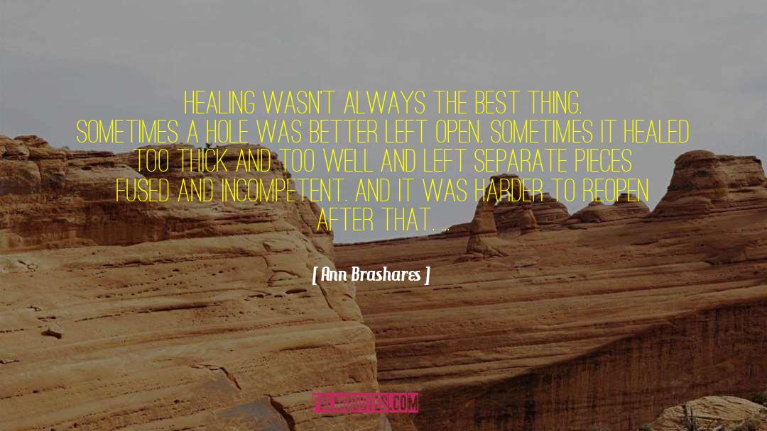 Ann Brashares Quotes: Healing wasn't always the best