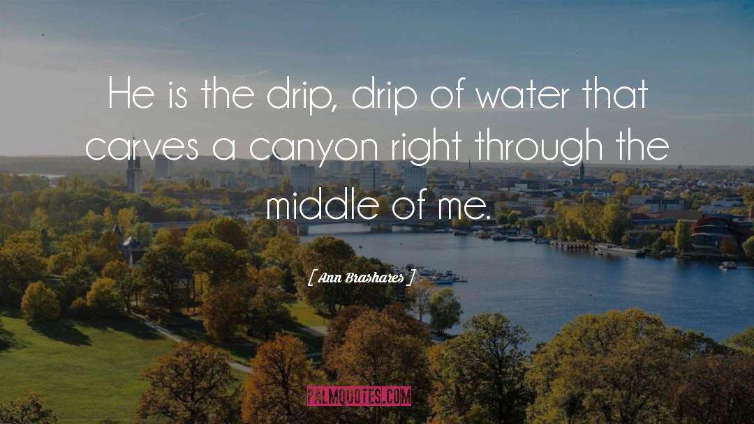 Ann Brashares Quotes: He is the drip, drip