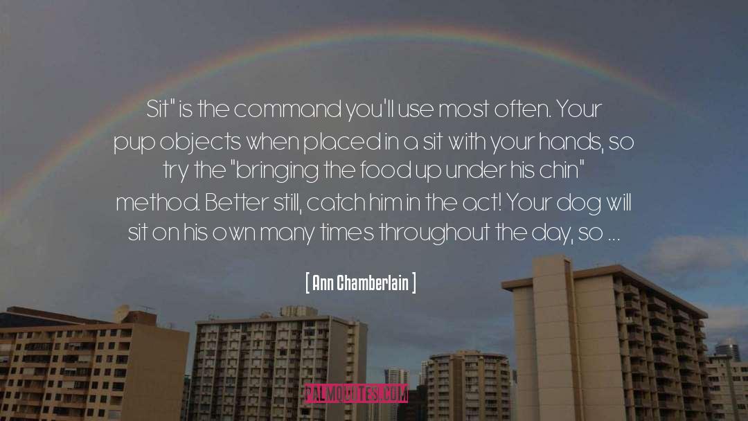 Ann Chamberlain Quotes: Sit