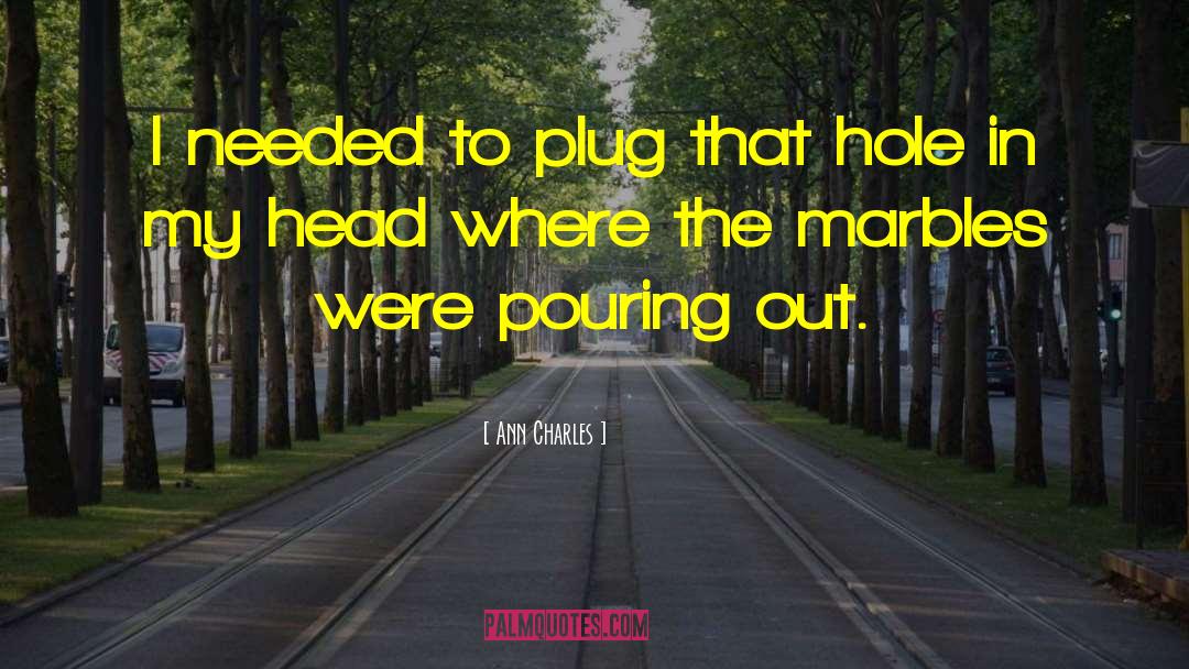 Ann Charles Quotes: I needed to plug that