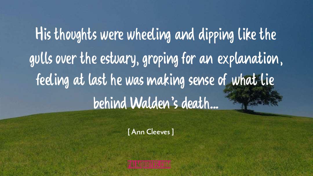 Ann Cleeves Quotes: His thoughts were wheeling and