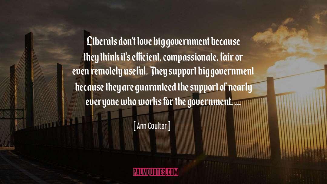 Ann Coulter Quotes: Liberals don't love big government